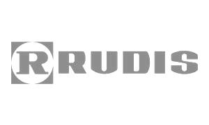 Rudis